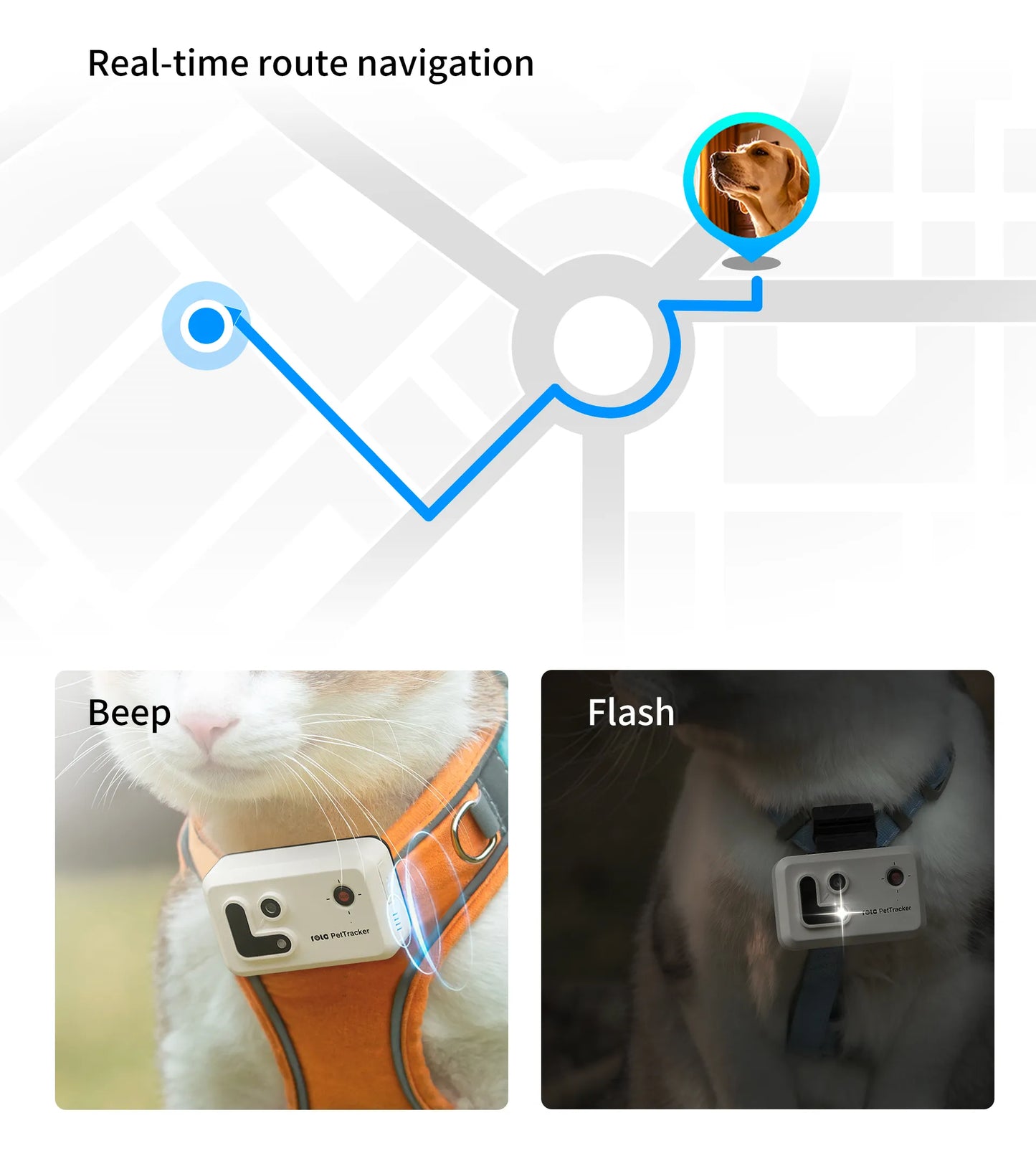 PetCollar Camera & Real Time GPS Tracker ROLA