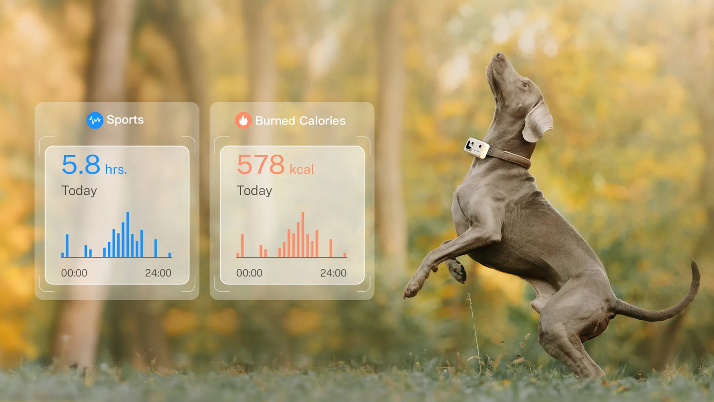 PetCollar Camera & Real Time GPS Tracker ROLA