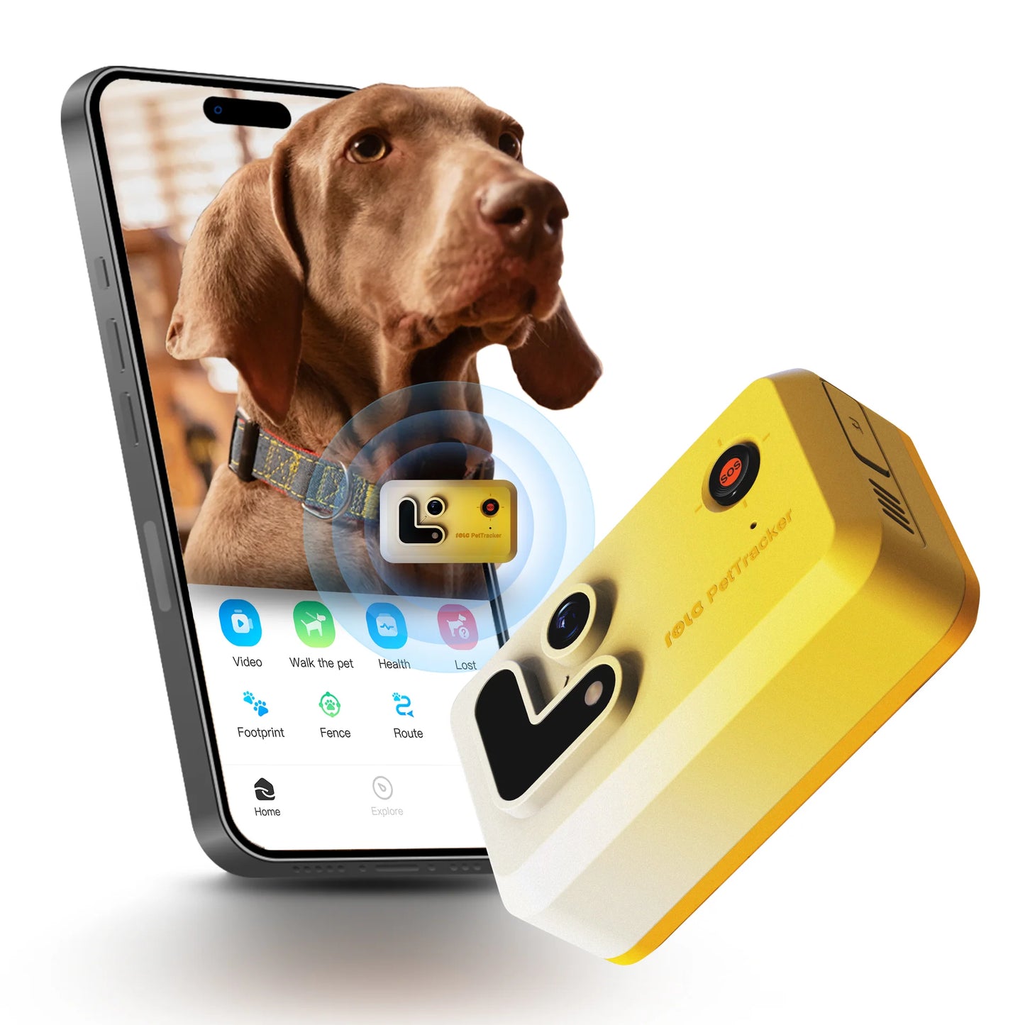 PetCollar Camera & Real Time GPS Tracker ROLA