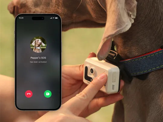 PetCollar Camera & Real Time GPS Tracker ROLA