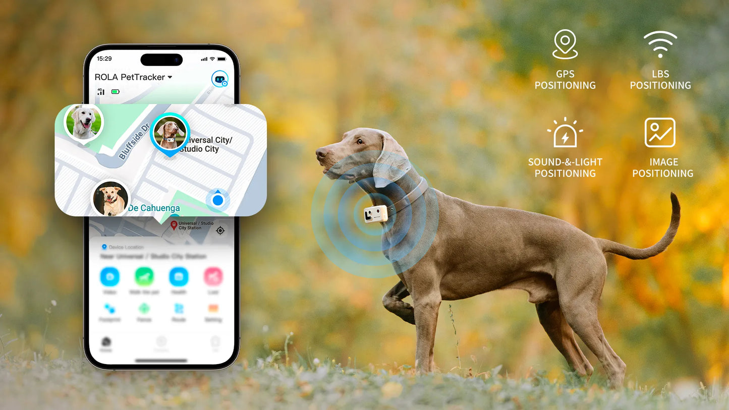 PetCollar Camera & Real Time GPS Tracker ROLA