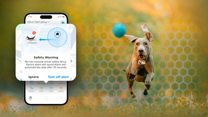 PetCollar Camera & Real Time GPS Tracker ROLA